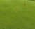 J Ultrafine Rye 50 - 50/50 rye and fescue grass seed for golf turf 0