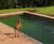 Swimming Pond Liners - rubber liners for natural ponds 4