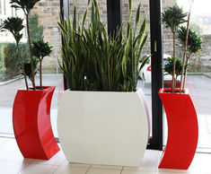 Curvy – Marilyn - lightweight fibreglass outdoor garden planter