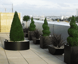 Premium Cylinder - lightweight fibreglass outdoor garden planter - on this page