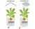 Cararo Self-Watering Planter - plastic indoor outdoor plant pot with liner 5