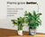Cararo Self-Watering Planter - plastic indoor outdoor plant pot with liner 6