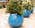 Blob Planter - lightweight fibreglass outdoor garden plant pot 2