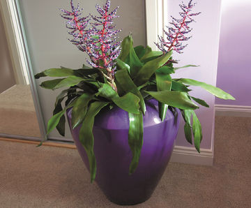 Dune - lightweight fibreglass outdoor planter for gardens and patios
