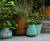Divona fibreglass range of planters and vases 2