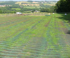 Turfmesh - hdpe grass reinforcement mesh