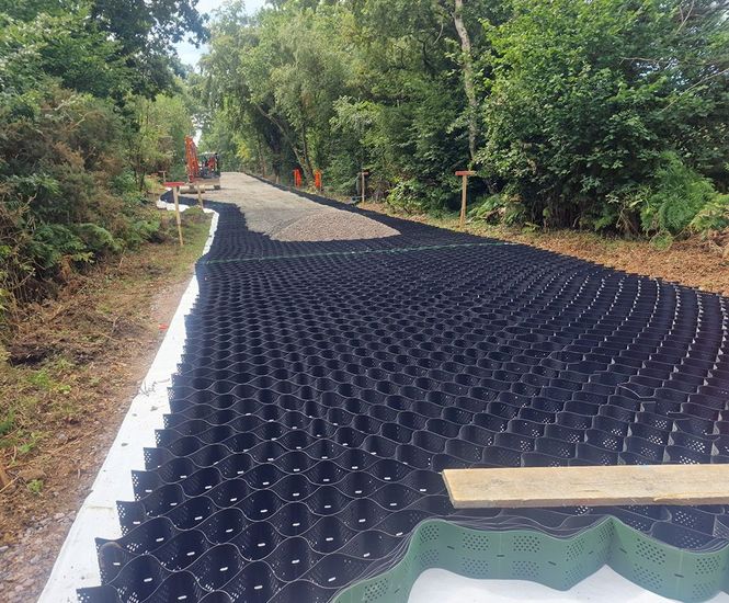 Cellweb® Tree Root Protection - plastic ground grid for tree root ...