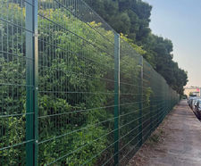 Protek® 868 Elite SR1/A1 Mesh Security Fencing
