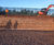 Gabion Baskets - galvanised steel mesh cages for retaining walls and stone 0