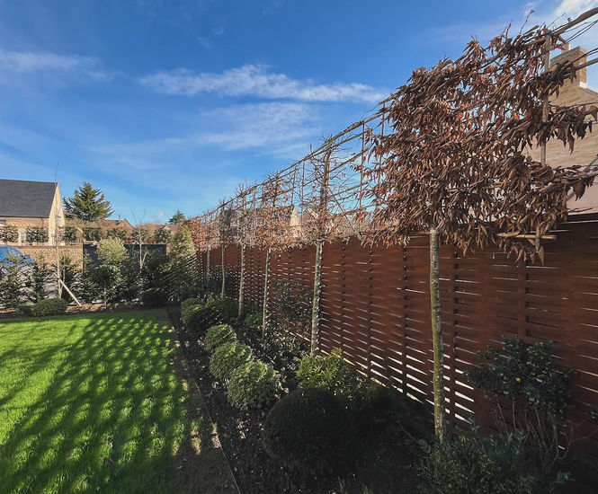 Woven Steel Fencing - durable fencing for gardens and estates