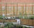 Timber planters with trellis screens 13