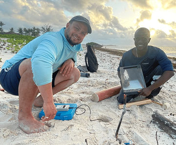 Swansea University uses WET150 climate sensor to monitor sea turtle nests