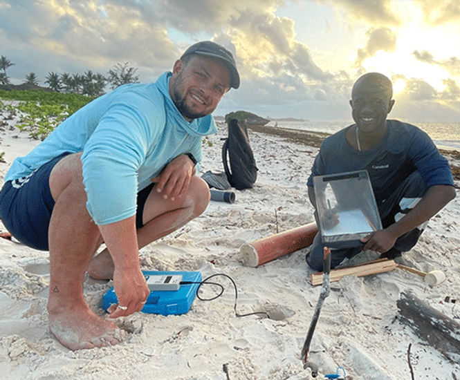 Swansea University uses WET150 climate sensor to monitor sea turtle nests