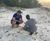 Swansea University uses WET150 climate sensor to monitor sea turtle nests 1