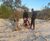 Swansea University uses WET150 climate sensor to monitor sea turtle nests 2