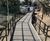 RootBridge installation for school pathway in a Root Protection Area 3