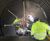 SDS Weholite Systems For Jointing 0