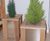 Hardwood and stainless steel planters 5