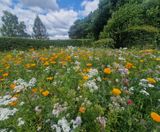 DLF Colour Boost brings burst of colour to scenic Lees Hall Golf Club - on this page