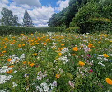 DLF Colour Boost brings burst of colour to scenic Lees Hall Golf Club