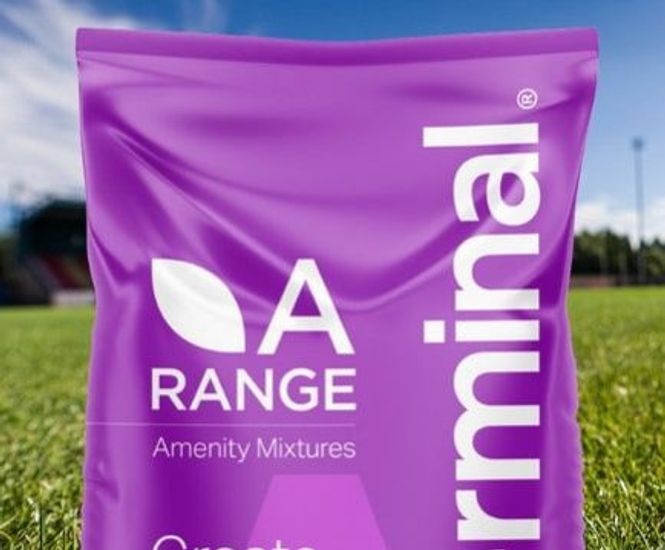 A999 Rescue - winter grass seed mixture for sports pitches