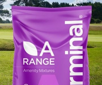 A34 Fescue Fairways and Surrounds - fescue golf mix