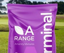 A34 Fescue Fairways and Surrounds - fescue golf mix