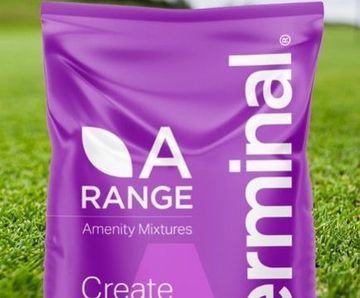 A33 Maxi Bent Golf Greens - disease resistant bentgrass greens mixture
