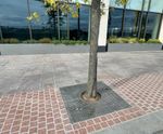 Bespoke stainless steel furniture for Olympic House, Belfast