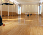 Woodsorba® - impact resistant wood-veneered acoustic panels