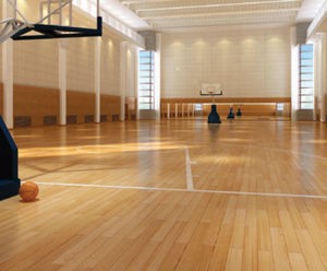 Woodsorba® - impact resistant wood-veneered acoustic panels