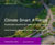 Climate Smart: A Range solutions for roads and urban spaces 0