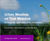 Urban Meadow vs True Meadow: Striking the right balance for biodiversity 0