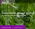 Webinar: Sustainability through science - Clover for net zero landscapes 0