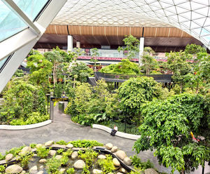 Tree anchoring - The Orchard, Hamad International Airport, Qatar