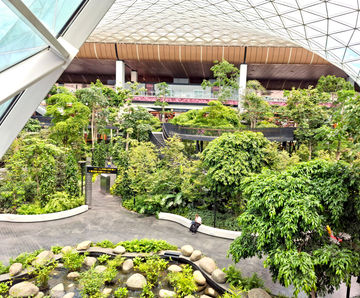 Tree anchoring - The Orchard, Hamad International Airport, Qatar