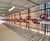 Secure timber-clad cycle hubs with 2-tier cycle racks for university 16