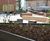 Courtyard planters and seating - Nottingham Trent University 10