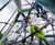 Kairn J6101-C - large outdoor climbing frame 2
