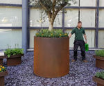Atlas (CT) Planter - corten steel outdoor garden plant container