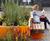 Planters and seating extend Cornerstone Arts Centre outdoors 2