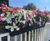 geViews Pagoda Barrier Basket - plastic self-watering fence mounted planter 1