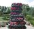 Pagoda Planter range - self watering planters for streets and public spaces 0
