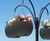 Orbea Planter Range - contemporary curved self watering planters 3