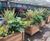 Legacy Planter - Iroko timber outdoor square planters 3