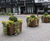 Newforest Planter - timber effect recycled plastic self-watering planter 4