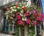 18" Pagoda Hanging Basket - self-watering outdoor flower basket 7