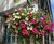 20" Pagoda Hanging Basket - plastic self-watering hanging planter 5