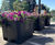 Scenic Metre Square - large plastic self-watering outdoor floor planter 0