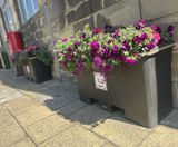 Scenic Rectangle Floor Planter - self-watering outdoor plastic planter - on this page